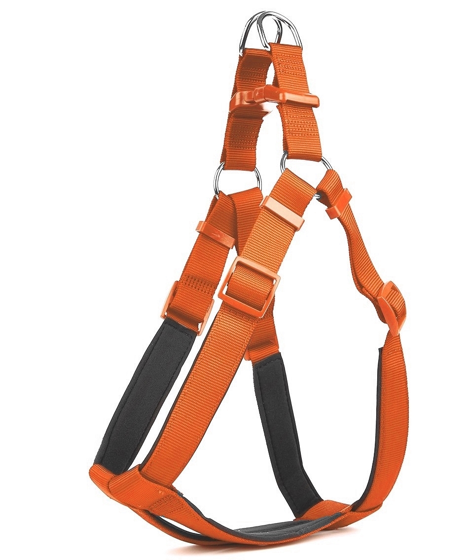 o-dsgt103xl-red-jpg895-jpg458ee6.jpg Köpek Bel Tasması 3cm-75 x 85 cm 3X-Large Tcu - Görsel 1
