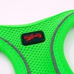 Köpek Göğüs Tasması XSmall 32x36 cm Neon Yeşil - Görsel 6