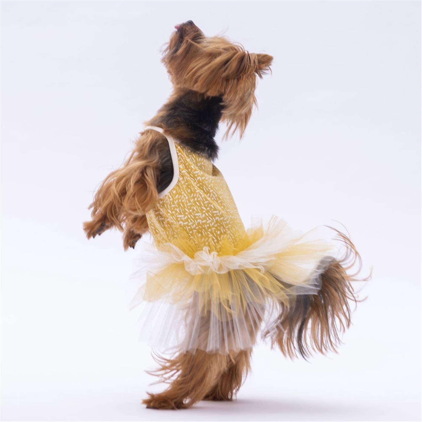 pawstar-yellow-polka-dot-xl-b113-8-jpg.jpg PawStar Yellow Polka-Dot L 30 x 33 x 46 cm - Görsel 1