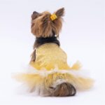 PawStar Yellow Polka-Dot L 30 x 33 x 46 cm - Görsel 7