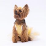 PawStar Yellow Polka-Dot L 30 x 33 x 46 cm - Görsel 6