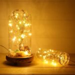 Peri Led Işık 5 metre GÜN IŞIĞI Dekor Lambası 50 Ledli - Görsel 3
