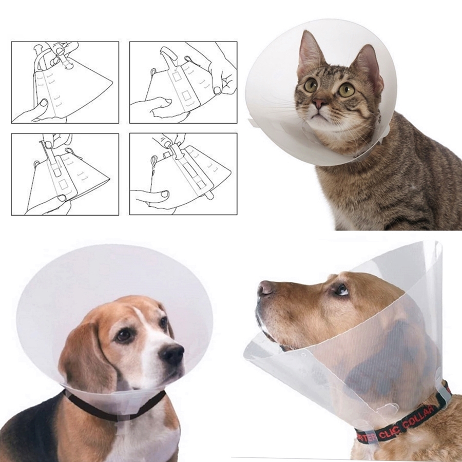 pet-yakaliklari-763a-jpg.jpg Köpek Elizabet Yakalığı 15 cm/20-22-24 cm - Görsel 1
