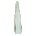 Purity Banyo ve Wc Temizleyici 5 Etki Sprey Şişe 500 ML - Görsel 5
