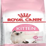 36 Yavru Kedi sı 1 KG