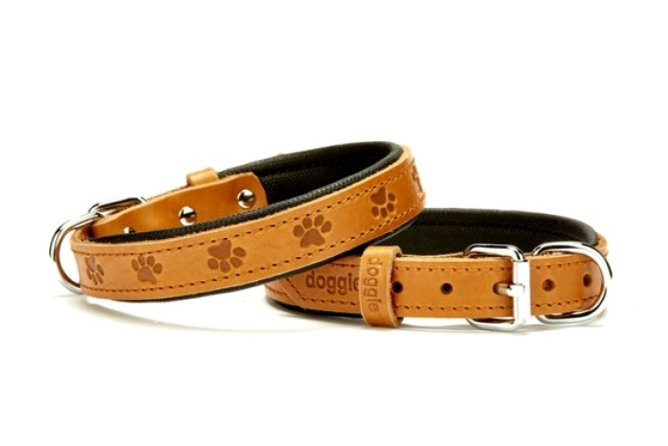 sbt-2036-kamel.jpg Küçük Köpek Tasması Pati Desenli 45 cm Small - Görsel 1