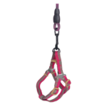 Köpek Göğüs Tasma Seti Dalga Desenli 2 cm*40-58 cm Mor-Pembe - Görsel 7