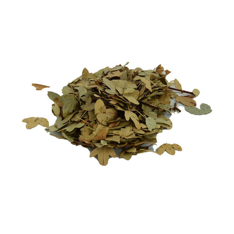 simsir-yapragi-dogal-100-gr-paket-lokmanavm-34651-10-b.jpg Şimşir Yaprağı Doğal 100 Gr Paket - Görsel 1