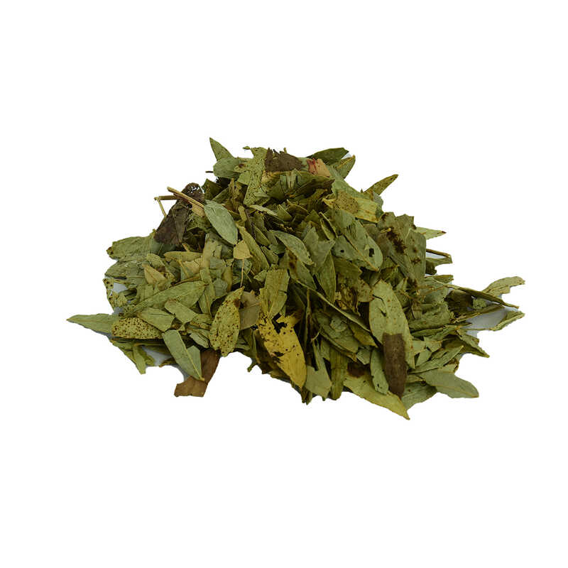 sinameki-yapragi-dogal-100-gr-paket-lokmanavm-34478-10-b.jpg Sinameki Yaprağı Doğal 100 Gr Paket - Görsel 1