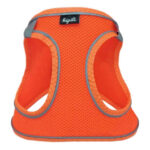Üç Kilitli Sportif Kedi Köpek Göğüs Tasması 24-28 cm XX-Small Tcu