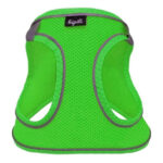Üç Kilitli Sportif Kedi Köpek Göğüs Tasması 20-24 cm -Small Yeşil