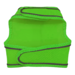 Çift Kilitli Sportif Kedi Köpek Göğüs Tasma Seti 30-38 cm Small Yeşil - Görsel 3