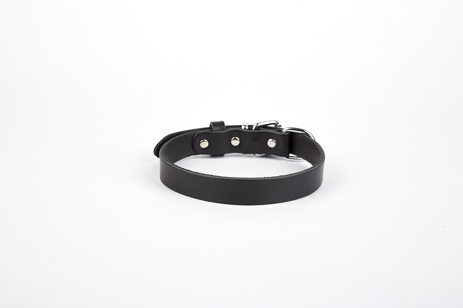 tbt1510m-black-2-jpg.jpg Deri El Yapımı Köpek Boyun Tasması 1,5x20-26 cm Siyah - Görsel 1