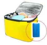 Termos Çanta - Piknik Çantası Buz Aküsü Hediyeli 40LT - Görsel 3