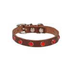 Taşlı Kedi ve Yavru Köpek Tasması 1,2x26 cm Kahverengi Large - Görsel 3