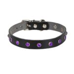 Taşlı Kedi ve Yavru Köpek Tasması 1*23 cm Mavi Medium - Görsel 4
