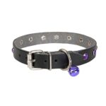 Taşlı Kedi ve Yavru Köpek Tasması 1*23 cm Mavi Medium - Görsel 5