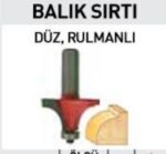 14451 Balıksırtı Freze Bıçağı 12 mm  R5 - Görsel 2