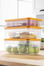 Tupper Model - Vakumlu - Mikrodalga Buzluk Saklama Kabı 3,8LT - Görsel 3