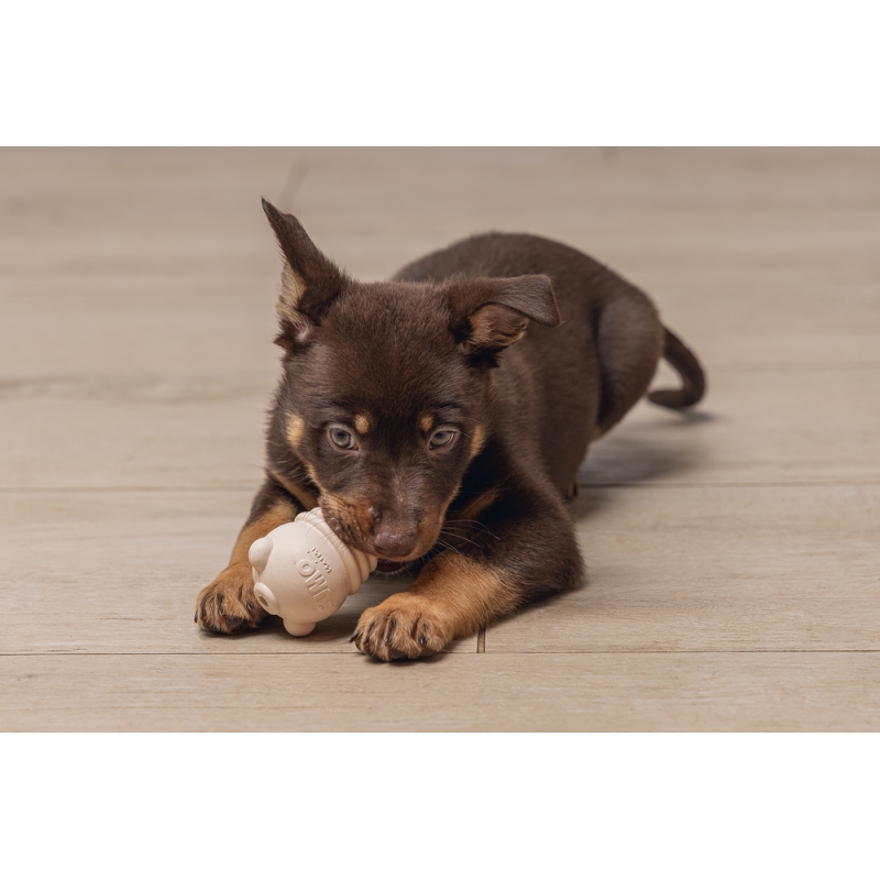 uploads-images-thumbnail-large-27718777ff9cf5448afb74ca4e7456d7-jpg.jpg Yavru Köpek Sumo Mını Dental Oyuncak Xs 3-6 kg - Görsel 1