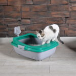 Karamel Izgaralı Açık Kedi Tuvaleti Çeşitli Renklerde + Kürek Hediyeli