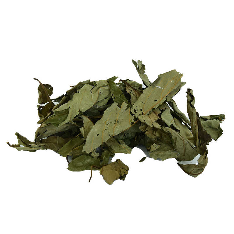 uvez-yapragi-dogal-100-gr-paket-lokmanavm-32923-10-b.jpg Üvez Yaprağı Doğal 100 Gr Paket - Görsel 1