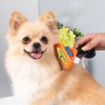 Uzun Tüylü Köpekler İçin Kolay Tarama Fırçası Temizlenebilir Çelik Tarak Tüy Toplayıcı Medium - Görsel 5