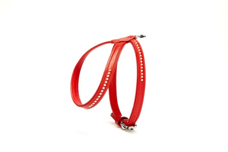 ygt51xl-red-jpg61a9c.jpg Taşlı Deri Köpek Göğüs Tasması 1,2 x 25-35 cm Kırmızı - Görsel 1