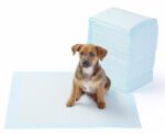 Yıkanabilir Köpek Çiş Pedi - 100 X 100 Cm - Görsel 3