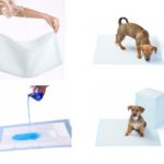 Yıkanabilir Köpek Çiş Pedi - 100 X 100 Cm 5li Paket