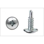 Akıllı Matkap Uçlu Vida - 3.9x19 mm (10 Adet)